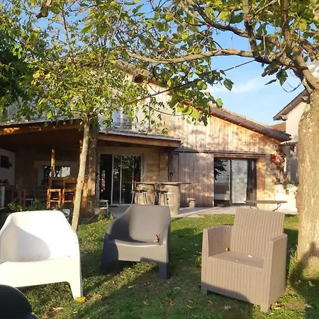 Des Vignes De Emilion Apartment Saint-Emilion