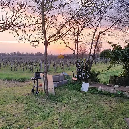 Des Vignes De Emilion 公寓