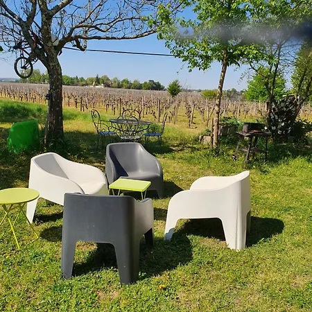 Des Vignes De Emilion