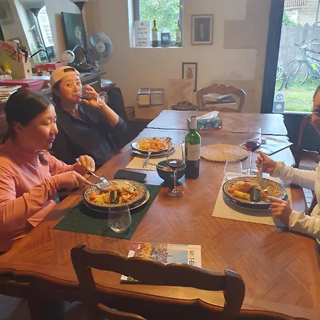 Des Vignes De Emilion