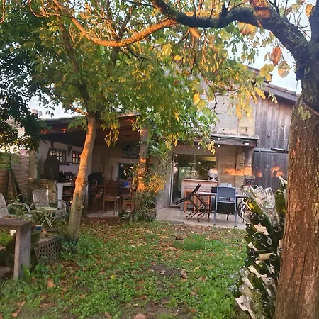 Des Vignes De Emilion Διαμέρισμα Σεντ Εμιλιόν