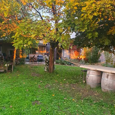 Des Vignes De Emilion Apartment Saint-Emilion