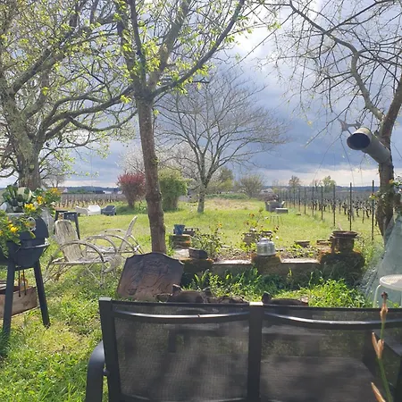 Des Vignes De Emilion Διαμέρισμα *