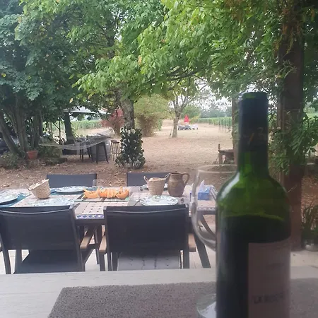 Des Vignes De Emilion Διαμέρισμα Σεντ Εμιλιόν