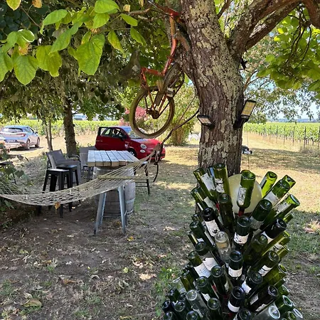 Des Vignes De Emilion Σεντ Εμιλιόν